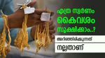 സ്വർണവില റെക്കോർഡിലേക്ക്, കയ്യിൽ എത്ര ഗ്രാം സൂക്ഷിക്കാം എന്നറിയണം, ഇല്ലെങ്കിൽ തടവും പിഴയും ഉറപ്പ്