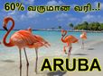 வருமானத்தில் 60% பணத்தை வரியாகப் பிடுங்கும் அருபா..!