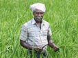 மத்திய அரசின் பயிர் கடன் எங்கே செல்கிறது..? விவசாயிகள் ஏமாற்றம்