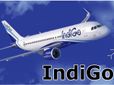 விரைவில் இண்டிகோ விமான பயணிகளுக்கு கொசு அடிக்க எலக்ட்ரானிக்ஸ் பேட்..!