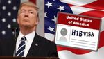 96% பேருக்கு ஹெச்1பி விசா.. டிரம்ப் ஆட்சியில் புதிய உச்சம்..!