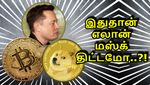 பிட்காயின் வேண்டாம்.. டோஜ் காயின் நிலைமை தெரியல.. எலான் மஸ்க் திட்டம் இதுதானோ..?!