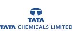 டாடா குழுமத்தின் இந்த பங்கினை வாங்கலாமா வேண்டாமா.. நிபுணர்களின் கணிப்பை பாருங்க!