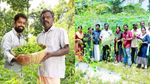 ஐடி வேலையை விட்டுவிட்டு ஆர்கானிக் விவசாயத்தில் கலக்கும் கேரள இளைஞர்கள்