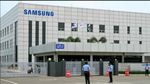 Samsung: தொடரும் ஊழியர்கள் போராட்டம், ஒப்பந்த பணியாளர்களை கொண்டு உற்பத்தியை தொடங்கிய சாம்சங்..!