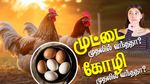முதலில் கோழி வந்ததா? முட்டை வந்ததா? கேள்விக்கு முற்றுப்புள்ளி வைத்த ஆராய்ச்சியாளர்கள்!