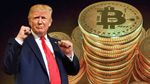 இதுதான் டிரம்ப் எபக்ட்.. 1,09,241 டாலர்.. வரலாற்று உச்சத்தை தொட்ட பிட்காயின்..!!