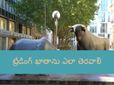 దేశంలో ట్రేడింగ్ ఖాతా తెరిచే విధానం