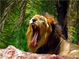 హైదరాబాద్ ZOO కిటకిట ధరలు పెంపు ఈరోజు నుంచి అమలు