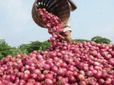 రూ.100కు పైగా ఉల్లి: భారత్ అవసరం.. చైనాకు సూపర్ అవకాశం