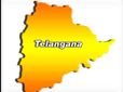 Telangana Budget: దేశ తలసరి ఆదాయం కంటే తెలంగాణ తలసరి ఎక్కువ
