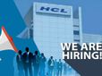 HCL Hiring: IT ఉద్యోగాల వేటలో ఉన్న ఫ్రెషర్లకు పండగే.. త్వరలో 10,400 ఉద్యోగుల నియామకం..