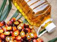 Edible Oil Rates: ఎడిబుల్ ఆయిల్స్ ధరల పెరుగుదల.. ప్రజలకు అందని తగ్గింపులు.. రానున్న రోజుల్లో..