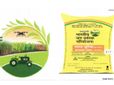 One Nation One Fertilizer: అక్టోబర్ 2 నుంచి 'భారత్'బ్రాండ్ తో ఎరువుల అమ్మకాలు..