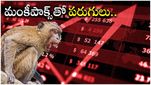 MonkeyPox: కాసులు కురిపిస్తున్న మంకీపాక్స్.. పరుగులుతీస్తున్న స్టాక్స్ ఇవే.. మీరూ కొన్నారా..