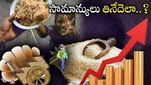 Rice: రెండు నెలల్లో 30% పెరిగిన బియ్యం రేట్లు.. మరింతగా పెరిగే అవకాశం.. కారణమేంటంటే..?