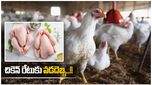 Poultry Business: చికెన్ ప్రియులకు రేట్ల షాక్.. తెలంగాణ మాంసం ప్రియులకు కష్టమే..