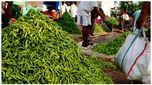 Green Chilli: మంట పుట్టిస్తోన్న పచ్చి మిర్చి.. కిలో రూ.160..!