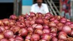 Onion Prices: రోజురోజుకూ ఉల్లి ధర పైపైకి.. సరిపోని కేంద్రం చర్యలు.. నార్త్ ఇండియాలో..