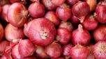 Onion Price: సామాన్యులపై ఉల్లి ధరల పిడుగు.. సెంచరీకి దగ్గరకు రేటు..