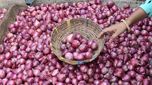 Onion Prices: నాలుగు రోజుల్లో రెండితలైన ఉల్లి ధర.. తర్వలో కేజీ రూ.150 అవ్వొచ్చు..!