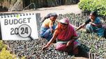 Budget 2024: రానున్న బడ్జెట్ నుంచి మహిళా పారిశ్రామికవేత్తల కోరికలివే..!