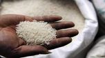 rice exports: బియ్యం, గోధుమ ఎగుమతులపై కేంద్రం మంత్రి వ్యాఖ్యలు.. ఆ ప్రతిపాదన ఏమీ లేదని స్పష్టం