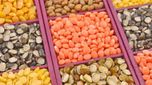 Pulses Prices: పప్పుధాన్యాల విషయంలో కేంద్రం కఠిన నిర్ణయం.. ధరల కట్టడికి పక్కా స్కెచ్