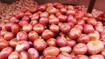 Onion News: ఉల్లి రైతులకు శుభవార్త.. ఉల్లి ఎగుమతులకు కేంద్రం అనుమతి..