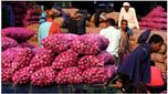 Onion Price: ఉల్లి ధరలు తగ్గించేందుకు కేంద్రం చర్యలు..