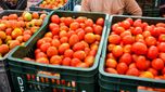 Tomato Price: సెంచరీ దాటేసిన టమాటా.. కూరగాయలు కొనాలంటే అప్పు చేయాల్సిందేనా..!!