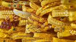 Gold Rate: శుభవార్త.. పాతాళానికి జారిపడ్డ పసిడి ధరలు.. సోమవారం రూ.10,900 తగ్గిన గోల్డ్ రేటు..