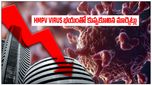 HMPV Virus భయంతో కుప్పకూలిన మార్కెట్లు.. దూసుకుపోతున్న స్టాక్స్ ఇవే ఇన్వెస్టర్స్..