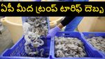 ట్రంప్ టారిఫ్ తొలి దెబ్బ..సంక్షోభంలోకి భారత రొయ్యల పరిశ్రమ..కుప్పకూలిన ఆక్వా షేర్లు