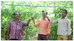 లాటరీ కాదు… కూరగాయలతో ఏటా రూ.16 కోట్ల సంపాదన... మొత్తం గ్రామం కోటీశ్వరులే!