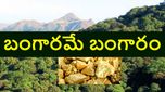 బంగారంపై మన కరువు తీరబోతోంది, ఆ అడవిలో రూ. 10 వేల ఎకరాల్లో Gold గనులు, తవ్వేందుకు అనుమతివ్వాలని..