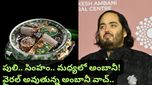 అంబానీ గడియారంలో సింహం, పులి! ఈ వింత లగ్జరీ వాచ్ ప్రత్యేకతలేంటో తెలుసా?