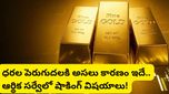 gold rates: బంగారం ధరల జోరు వెనుక అసలు గుట్టు ఇదే.. ఎకనామిక్ సర్వేలో షాకింగ్ నిజాలు!