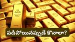 నష్టాల తర్వాత మళ్ళీ పుంజుకున్న Gold ETF..! ఇప్పుడు ఇన్వెస్ట్ చేయొచ్చా? నిపుణుల సలహా ఇదే!