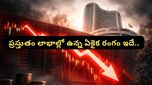 Stock market: మార్కెట్ నష్టాల్లో కూడా లాభాల్లో ఉన్న ఏకైక రంగం ఇదే.. మీరు ఈ షేర్లు కొన్నారా?