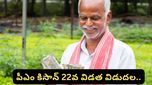PM Kisan: రైతులకు పండగలాంటి వార్త.. ఖాతాల్లోకి రూ. 2,000.. వచ్చాయో లేదో ఇలా చెక్ చేయండి!