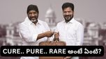 Telangana Budget: బడ్జెట్‌లో హైలైట్ చేసిన.. CURE, PURE, RARE అంటే ఏమిటి?