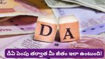 DA Hike 2026: 2% నుంచి 4% వరకు డీఏ పెంపు! మీ జీతం ఎంత పెరుగుతుందో లెక్క చూసుకోండి!