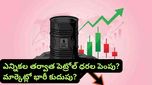 Stock market: పెట్రోల్, డీజిల్ ధరలు పెరిగితే ఈ షేర్లు పడిపోవచ్చు! మీ పోర్ట్‌ఫోలియో జాగ్రత్త!