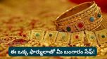 Gold: నగలు కొనేముందు ఇది చూడండి! పోయిన బంగారానికి పైసా ఖర్చు లేకుండా రీప్లేస్‌మెంట్?