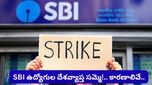 ఒకటి కాదు రెండు కాదు.. ఏకంగా 16 డిమాండ్లతో.. SBI ఉద్యోగుల సంచలన స్ట్రైక్! ఎప్పుడంటే..