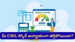 తీసుకోని అప్పుకు నోటీసులు.. పడిపోయిన క్రెడిట్ స్కోర్! మీ CIBIL రిపోర్ట్‌లో ఈ తప్పులు ఉన్నాయా?