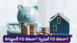 రెగ్యులర్ FD వర్సెస్ స్పెషల్ FD: మీ డబ్బును లాక్ చేసేందుకు ఏది బెస్ట్ ఛాయిస్?