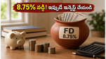 ఫిక్స్‌డ్ డిపాజిట్లపై 8.75% వడ్డీ! మీ డబ్బును సురక్షితంగా పెంచుకోవడానికి బెస్ట్ బ్యాంక్ ప్లాన్లు ఇవే