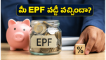 మీ EPF ఖాతాలో 8.25% వడ్డీ జమ అయ్యిందా? ఆలస్యమైతే వెంటనే ఈ పని చేయండి, లేదంటే నష్టపోతారు!